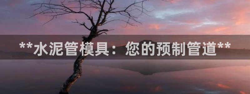 高淳红太阳集团