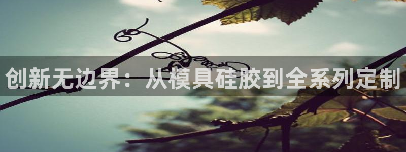 太阳诚集团有限公司是国企吗还是央企：创新无边界：从模具硅胶到全系列定制