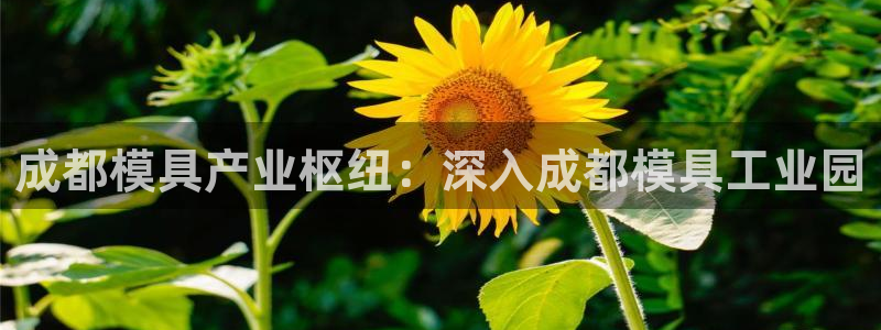 古天乐代言的太阳集团城网址：成都模具产业枢纽：深入成都模具工业园