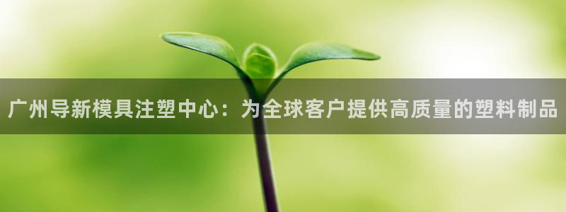 太阳集团下载链接怎么下载：广州导新模具注塑中心：为全球客户提供高质量的塑料制品