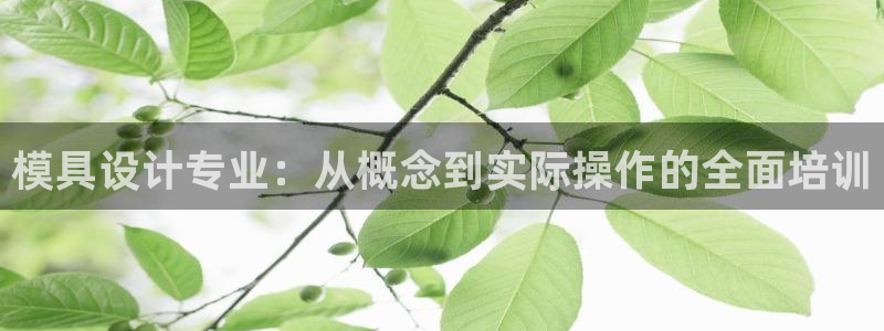 太阳贵宾城：模具设计专业：从概念到实际操作的全面培训