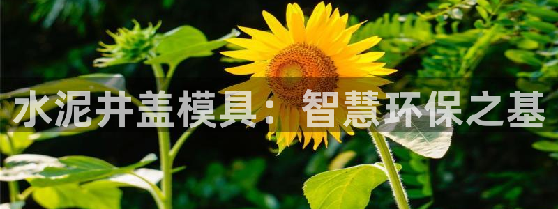 太阳影视公司：水泥井盖模具：智慧环保之基