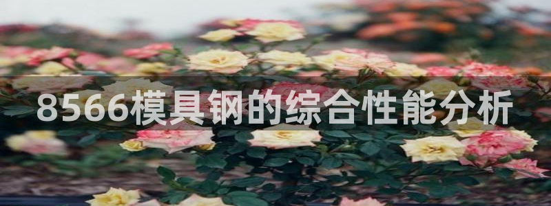 太阳诚集团有限公司有多少人：8566模具钢的综合性能分析