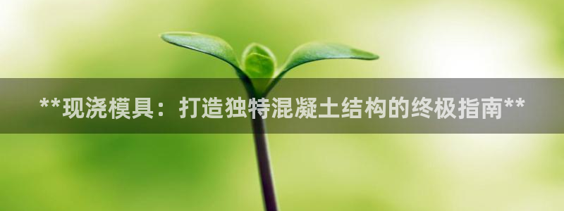 太阳集团电子游戏官网：**现浇模具：打造独特混凝土结构的终极指南**