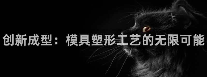 太阳成集团tyc151：创新成型：模具塑形工艺的无限可能