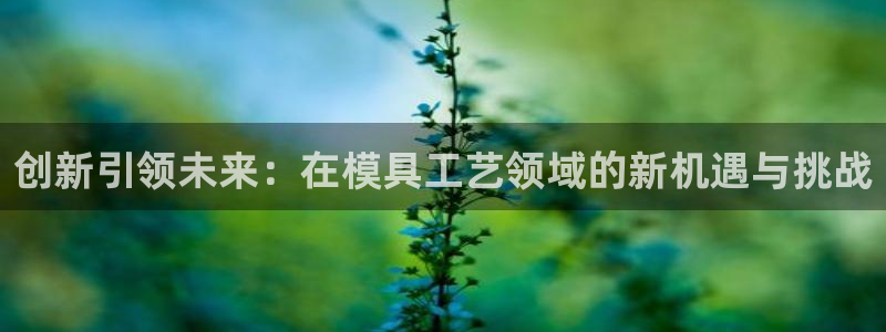 太阳集团娱乐官方网站入口：创新引领未来：在模具工艺领域的新机遇与挑战