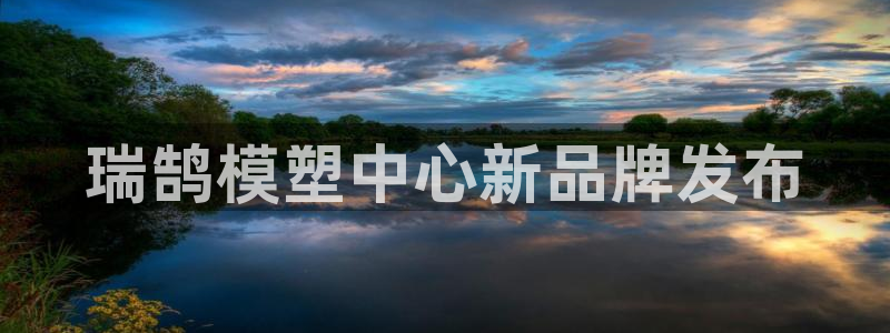 太阳成集团控股官网：瑞鹄模塑中心新品牌发布