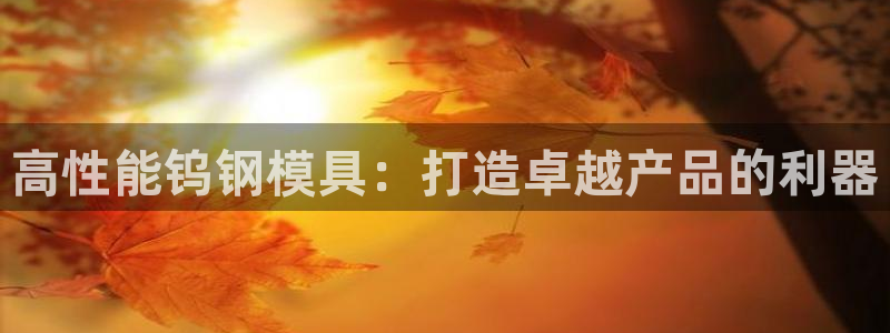 太阳集团电子游戏不朽的浪漫视频：高性能钨钢模具：打造卓越产品的利器