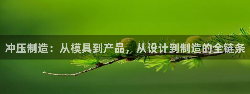 太阳集团是什么电视剧：冲压制造：从模具到产品，从设计到制造的全链条