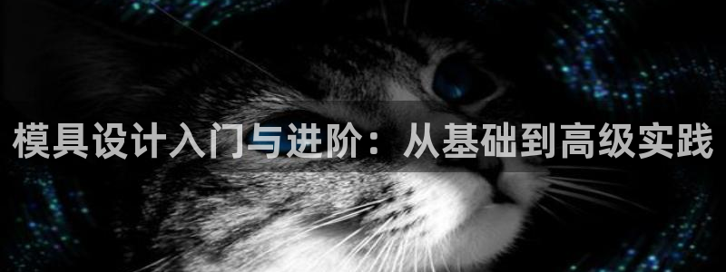 古天乐太阳集团广告：模具设计入门与进阶：从基础到高级实践