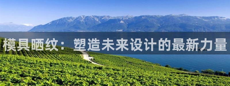 太阳2平台下载：模具晒纹：塑造未来设计的最新力量