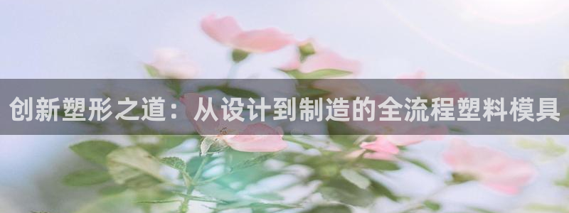 太阳成集团tyc234cc[主页]网址振兴：创新塑形之道：从设计到制造的全流程塑料模具