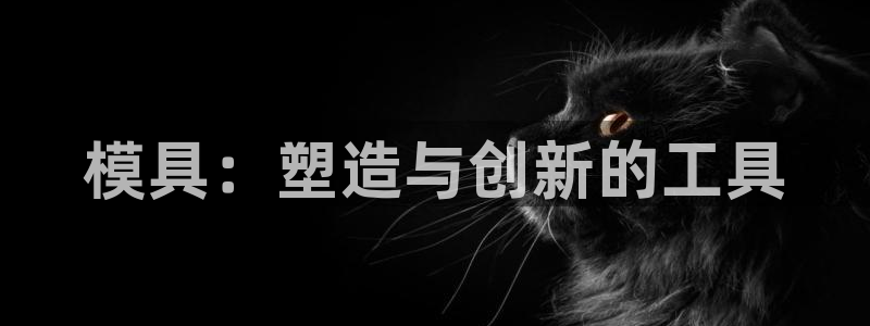 太阳诚集团有限公司是国企吗还是私企：模具：塑造与创新的工具