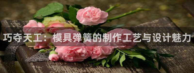 太阳游戏汉化：巧夺天工：模具弹簧的制作工艺与设计魅力